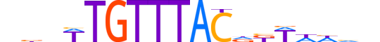 FOXI1.H13RSNP.0.SM.B motif logo (FOXI1 gene, FOXI1_HUMAN protein)