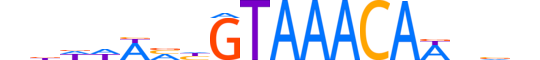 FOXI1.H13RSNP.0.SM.B reverse-complement motif logo (FOXI1 gene, FOXI1_HUMAN protein)