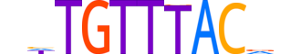 FOXJ2.H13RSNP.0.PSM.A motif logo (FOXJ2 gene, FOXJ2_HUMAN protein)