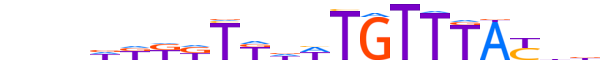 FOXJ2.H13RSNP.2.S.B motif logo (FOXJ2 gene, FOXJ2_HUMAN protein)