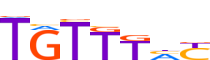 FOXK2.H13RSNP.0.P.B motif logo (FOXK2 gene, FOXK2_HUMAN protein)