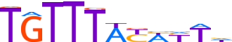 FOXL2.H13RSNP.0.PSM.A motif logo (FOXL2 gene, FOXL2_HUMAN protein)