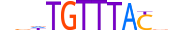 FOXO6.H13RSNP.0.S.B motif logo (FOXO6 gene, FOXO6_HUMAN protein)