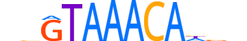 FOXO6.H13RSNP.0.S.B reverse-complement motif logo (FOXO6 gene, FOXO6_HUMAN protein)