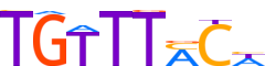 FOXP1.H13RSNP.0.PS.A motif logo (FOXP1 gene, FOXP1_HUMAN protein)