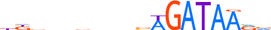 GATA1.H13RSNP.0.P.B motif logo (GATA1 gene, GATA1_HUMAN protein)