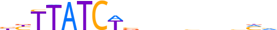 GATA1.H13RSNP.0.P.B reverse-complement motif logo (GATA1 gene, GATA1_HUMAN protein)