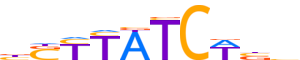 GATA1.H13RSNP.1.PSM.A reverse-complement motif logo (GATA1 gene, GATA1_HUMAN protein)