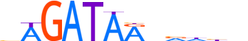 GATA2.H13RSNP.0.PSM.A motif logo (GATA2 gene, GATA2_HUMAN protein)