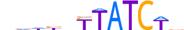 GATA2.H13RSNP.0.PSM.A reverse-complement motif logo (GATA2 gene, GATA2_HUMAN protein)