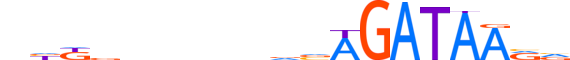 GATA2.H13RSNP.1.P.B motif logo (GATA2 gene, GATA2_HUMAN protein)