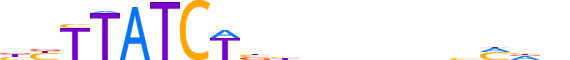 GATA2.H13RSNP.1.P.B reverse-complement motif logo (GATA2 gene, GATA2_HUMAN protein)