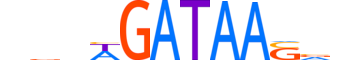 GATA5.H13RSNP.0.SM.B motif logo (GATA5 gene, GATA5_HUMAN protein)