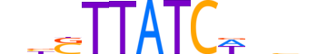 GATA5.H13RSNP.0.SM.B reverse-complement motif logo (GATA5 gene, GATA5_HUMAN protein)