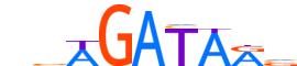 GATA6.H13RSNP.0.PSM.A motif logo (GATA6 gene, GATA6_HUMAN protein)