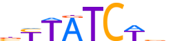 GATA6.H13RSNP.0.PSM.A reverse-complement motif logo (GATA6 gene, GATA6_HUMAN protein)