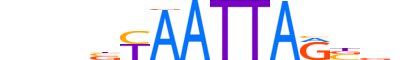 GBX2.H13RSNP.0.SM.B reverse-complement motif logo (GBX2 gene, GBX2_HUMAN protein)