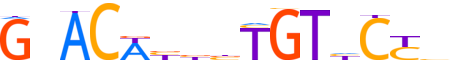 GCR.H13RSNP.0.PS.A motif logo (NR3C1 gene, GCR_HUMAN protein)