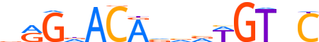 GCR.H13RSNP.0.PS.A reverse-complement motif logo (NR3C1 gene, GCR_HUMAN protein)