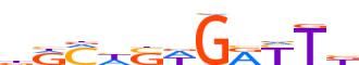 GFI1.H13RSNP.0.PSM.A motif logo (GFI1 gene, GFI1_HUMAN protein)