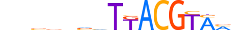 GMEB1.H13RSNP.2.SM.B reverse-complement motif logo (GMEB1 gene, GMEB1_HUMAN protein)