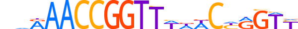 GRHL1.H13RSNP.0.PSM.A motif logo (GRHL1 gene, GRHL1_HUMAN protein)