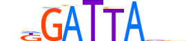 GSC.H13RSNP.0.SM.B motif logo (GSC gene, GSC_HUMAN protein)