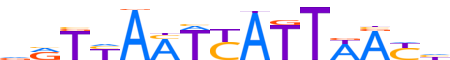 HNF1B.H13RSNP.0.PS.A reverse-complement motif logo (HNF1B gene, HNF1B_HUMAN protein)