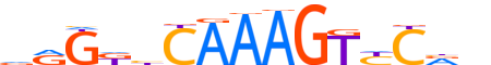 HNF4A.H13RSNP.0.PSM.A motif logo (HNF4A gene, HNF4A_HUMAN protein)