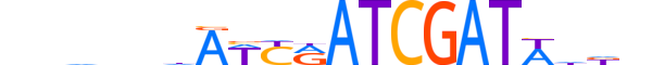 HNF6.H13RSNP.2.S.D reverse-complement motif logo (ONECUT1 gene, HNF6_HUMAN protein)