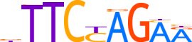 HSF1.H13RSNP.1.P.B motif logo (HSF1 gene, HSF1_HUMAN protein)