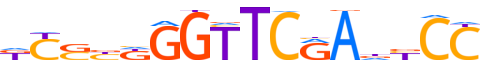 HSF1.H13RSNP.2.P.B motif logo (HSF1 gene, HSF1_HUMAN protein)