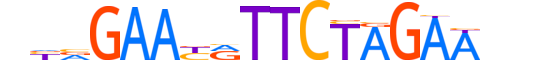 HSF2.H13RSNP.0.PSM.A motif logo (HSF2 gene, HSF2_HUMAN protein)