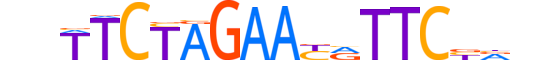 HSF2.H13RSNP.0.PSM.A reverse-complement motif logo (HSF2 gene, HSF2_HUMAN protein)