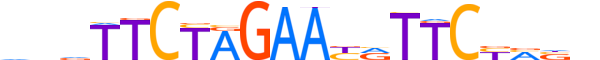 HSF4.H13RSNP.0.SM.B reverse-complement motif logo (HSF4 gene, HSF4_HUMAN protein)