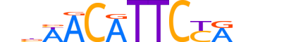 HSF5.H13RSNP.0.M.C motif logo (HSF5 gene, HSF5_HUMAN protein)