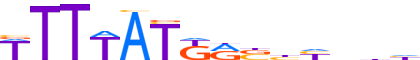 HXA11.H13RSNP.0.PS.D motif logo (HOXA11 gene, HXA11_HUMAN protein)