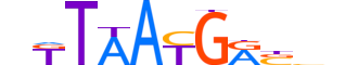 HXA9.H13RSNP.1.SM.D motif logo (HOXA9 gene, HXA9_HUMAN protein)