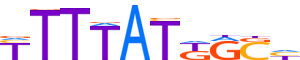 HXA9.H13RSNP.2.P.D motif logo (HOXA9 gene, HXA9_HUMAN protein)