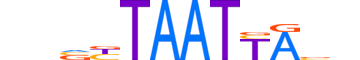 HXB1.H13RSNP.0.SM.D motif logo (HOXB1 gene, HXB1_HUMAN protein)