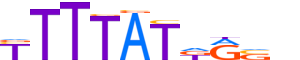 HXB13.H13RSNP.0.PS.A motif logo (HOXB13 gene, HXB13_HUMAN protein)