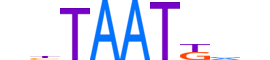HXB3.H13RSNP.0.S.D motif logo (HOXB3 gene, HXB3_HUMAN protein)