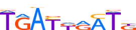 HXB4.H13RSNP.0.P.D motif logo (HOXB4 gene, HXB4_HUMAN protein)