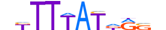 HXD13.H13RSNP.0.PS.D motif logo (HOXD13 gene, HXD13_HUMAN protein)