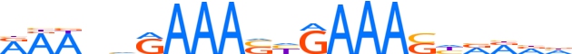 IRF2.H13RSNP.0.PSM.A motif logo (IRF2 gene, IRF2_HUMAN protein)