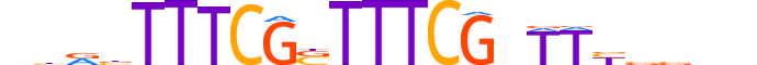 IRF7.H13RSNP.1.SM.B reverse-complement motif logo (IRF7 gene, IRF7_HUMAN protein)