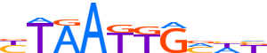 ISL1.H13RSNP.0.PSM.A motif logo (ISL1 gene, ISL1_HUMAN protein)