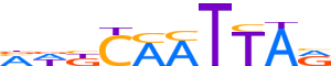 ISL1.H13RSNP.0.PSM.A reverse-complement motif logo (ISL1 gene, ISL1_HUMAN protein)