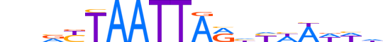 ISX.H13RSNP.1.S.B motif logo (ISX gene, ISX_HUMAN protein)