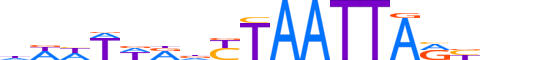 ISX.H13RSNP.1.S.B reverse-complement motif logo (ISX gene, ISX_HUMAN protein)